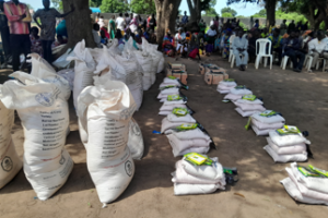 FAO to distribute seeds to 30,000 households in W. Bahr el Ghazal